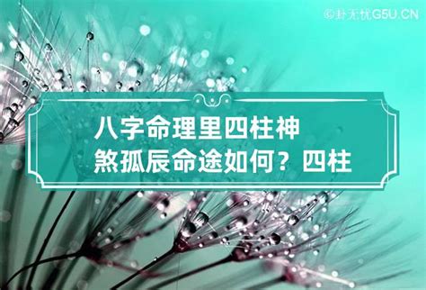 佛辰意思|佛辰是什么意思